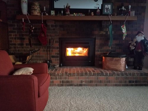 Wood burning fireplace insert