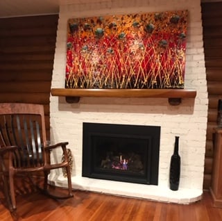 Fireplace insert in Edina