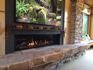 All Seasons Fireplace Valor L-2 Fireplace in Minneapolis