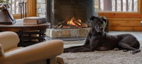 Gas Fireplace with Dog