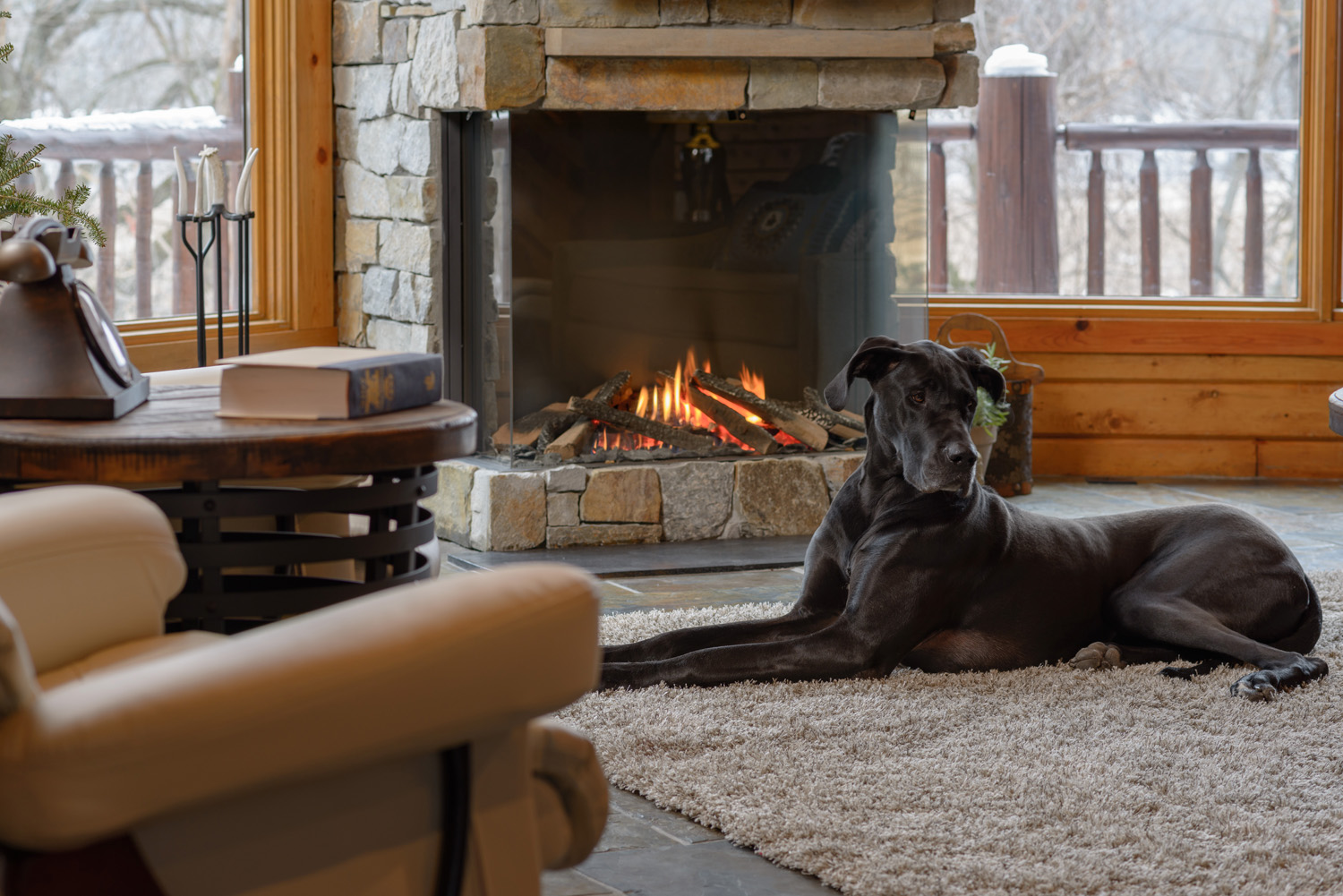 3 Sided Gas Fireplace with Stone Surround and Black Dog